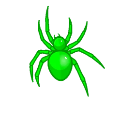 Green spider crawling across the web